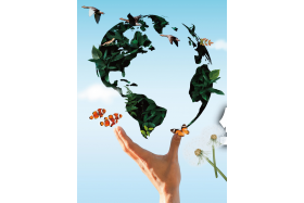Biomimicry Design Workshop