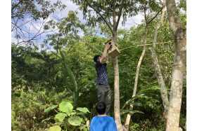 完成的巢箱安置於校園綠地,作為野生動物的新家園。