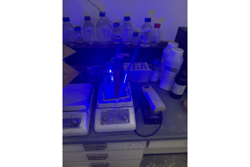 利用藍色LED進行照光反應，進行示範實驗觀摩與實作