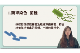 學生專題報告內容- 2