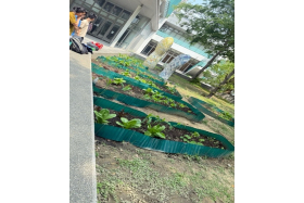 系館一樓林下種植場域建置